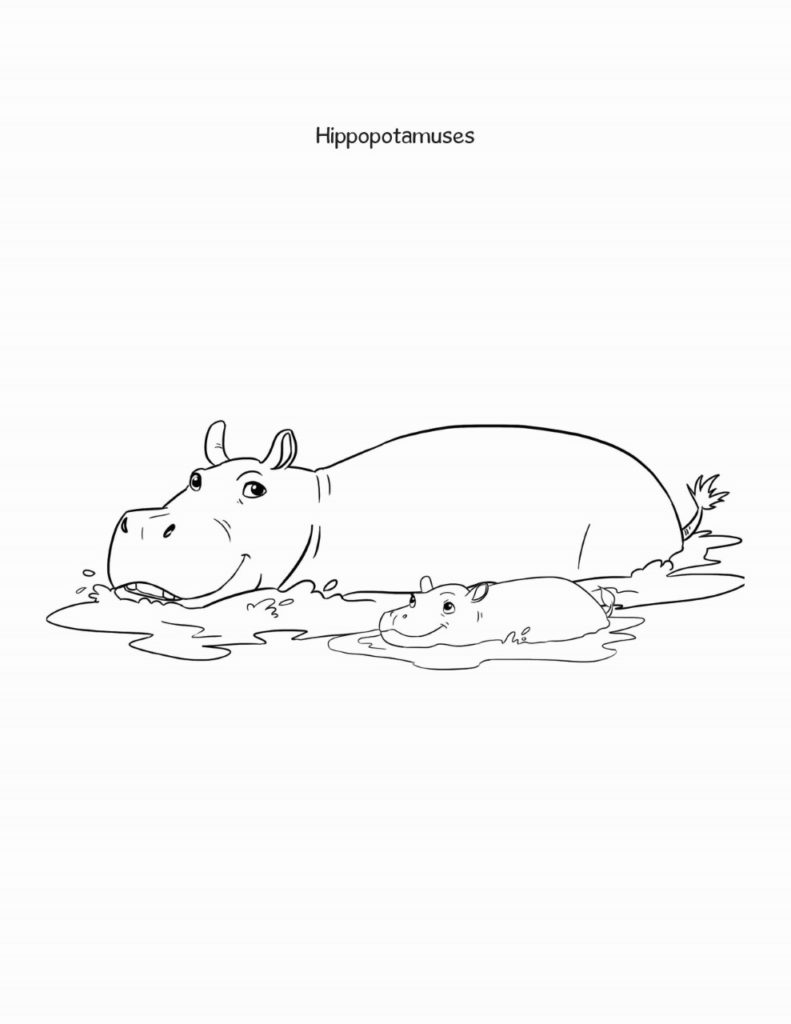 Sheba coloring book hippo