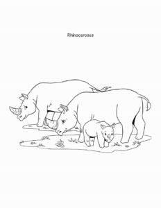 Sheba coloring book rhino